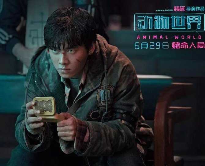 娱乐的模式洗牌 #Y34